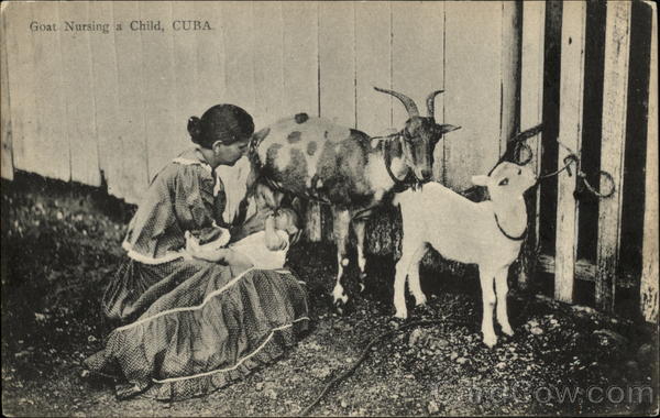 Goat Nursing a Child Cuba