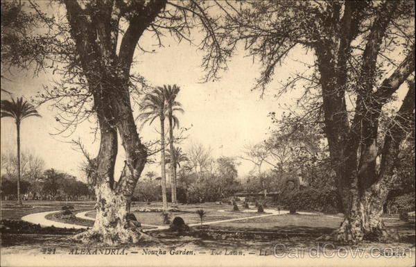 Nouza Garden - The Lawn Alexandria Egypt Africa