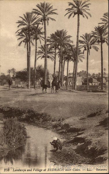 Landscape and Village at Bedrach Cairo Egypt Africa