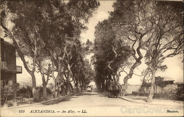 An Alley / Allée du Rond-Point Alexandria Egypt Africa
