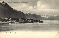 Hamburg-Amerika Line Naes Postcard