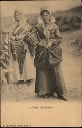Laitieres Flamandes Postcard