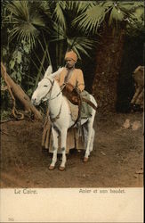 Le Caire. Anier et son baudet Postcard