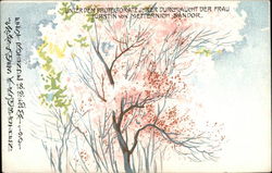 1901 Japan Sches Kirschblueten Fest Rotunde Postcard