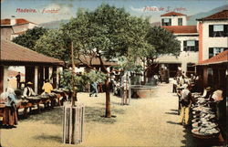 Madeira. Funchal. Praça de S. Pedro Postcard