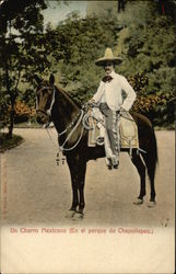A Mexican Charro in Chapultepec Park Postcard
