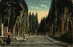 Cimetiere Turc a Scutari Postcard