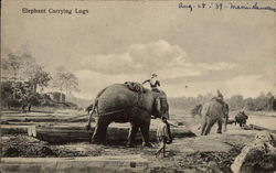 Elephant Carrying Logs Postcard