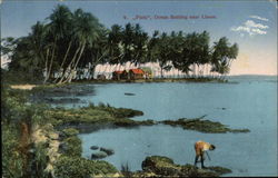 "Piuta", Ocean Bathing near Limon "Piuta", Ocean Bathing near Limon
