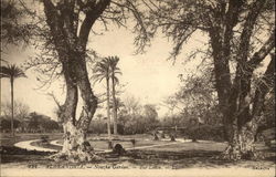 Nouza Garden - The Lawn Alexandria, Egypt Africa Postcard Postcard