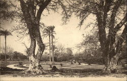 Nouza Garden - The Lawn Postcard