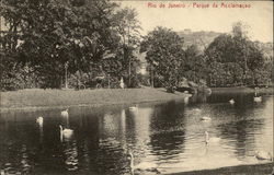 Parque da Acclamacao Rio de Janeiro, Brazil Postcard Postcard