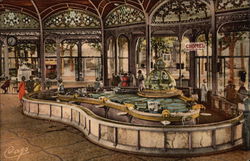 La Source Chomel Postcard