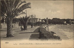 The Cabins - Boulevard du Littoral Postcard