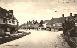 Biddenden Street Postcard