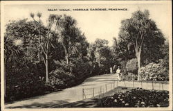 Palm Walk, Morrab Gardens Penzance, Wales Postcard Postcard