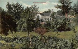 Somerville Postcard
