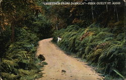 "Greetings from Jamaica" - Fern Gully St. Anns Postcard