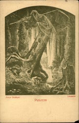 Puszcza Postcard