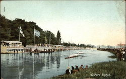 Oxford Eights Postcard