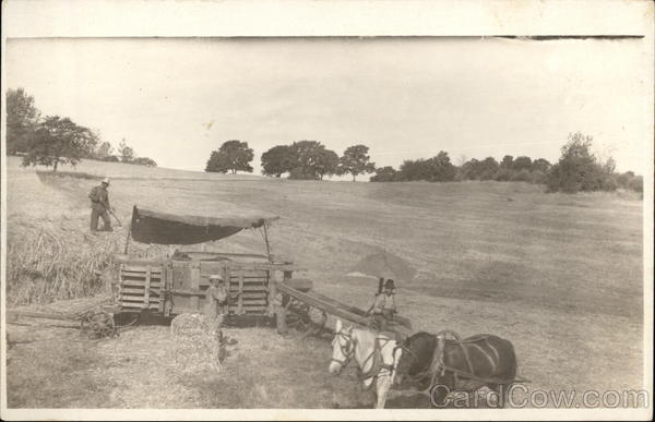 Harvesting Hay Farming