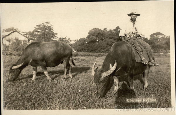 Chinese Farmer & Water Buffalo