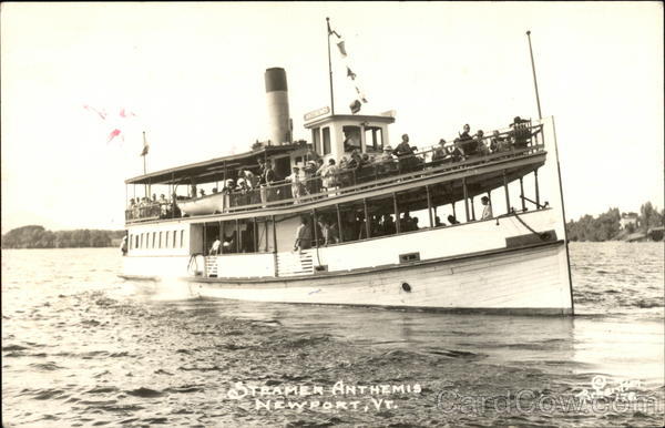 Steamer Anthemis Newport Vermont