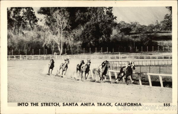 Into the Stretch, Santa Anita Track Arcadia California