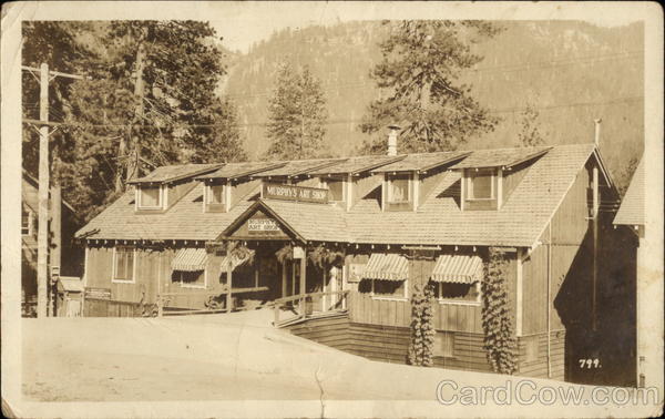 Murphy's Art Shop Big Creek California