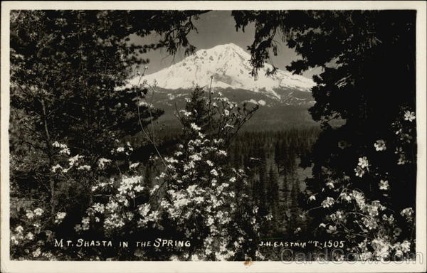 Mt. Shasta in the Spring Mount Shasta California