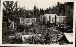 Indian Burial Grounds Whitehorse, YT Canada Yukon Territory Postcard Postcard