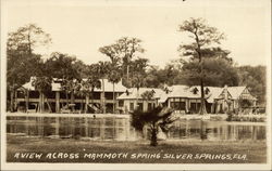 Mammoth Spring Silver Springs, FL Postcard Postcard