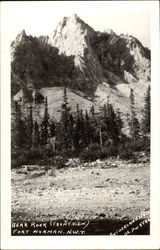 Bear Rock - Front View Postcard