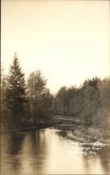 Head Waters of the Mississippi River Bemidji, MN Postcard Postcard