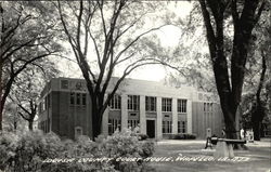 Louisa County Court House Wapello, IA Postcard Postcard