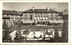 The Lodge and Ice Rink Postcard