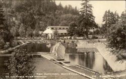 Fish Hatchery Bonneville, OR Postcard Postcard