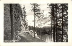 View of Lake from Road Postcard