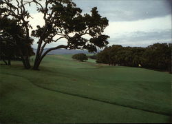 Pebble Beach Golf Course - 14th Hole California