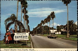 Tropical Shoreline Drive Dunedin Florida
