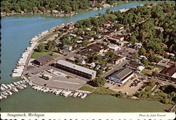 Bird's Eye View of Saugatuck Michigan
