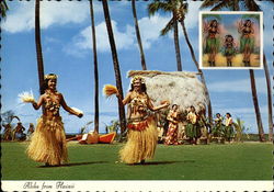 Aloha from Hawaii Postcard