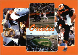 Stock #356156 Thumbnail