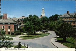 Johns Hopkins University Postcard