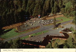 Aerial View - Trees of Mystery Postcard