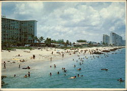 Beachfront View Postcard