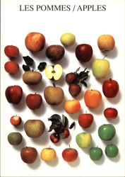 Les Pommes / Apples Postcard