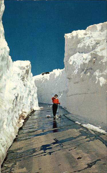 Skier in Snow Alley Skiing