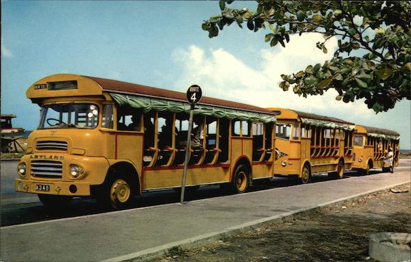 Buses in a Row Barbados West Indies Caribbean Islands