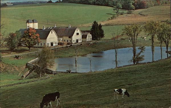 Greetings from Stamford New York